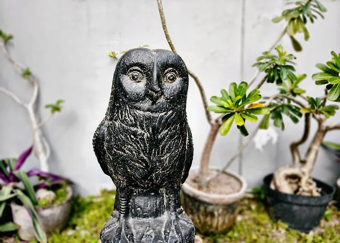 Panda Lumbung Sanur