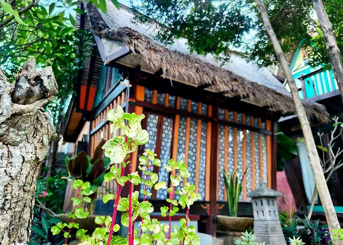 Panda Lumbung Sanur